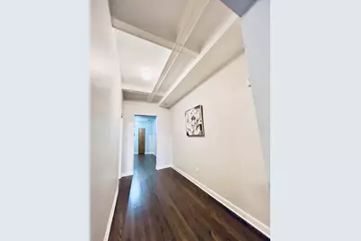 4619 S Michigan Avenue #1S, Chicago, IL 60653 - Photo 6
