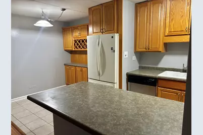 18 E Old Willow Road #425N, Prospect Heights, IL 60070 - Photo 4