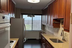 6933 N Kedzie Ave, Chicago, IL 60645 - Photo 2