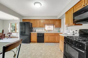 15006 Mayo Dr, Orland Park, IL 60462 - Photo 16