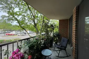 509 Aurora Ave, Naperville, IL 60540 - Photo 16