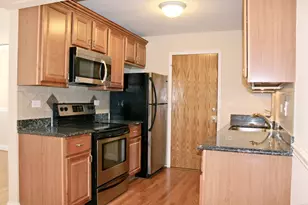 5029 N East River Rd, Norridge, IL 60706 - Photo 8