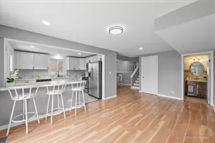 9137 Barberry Ln, Des Plaines, IL 60016 - Photo 10