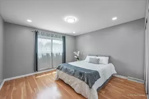 9137 Barberry Ln, Des Plaines, IL 60016 - Photo 18
