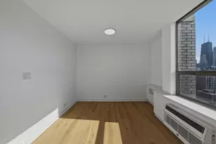 1355 N Sandburg Terrace, Chicago, IL 60610 - Photo 20