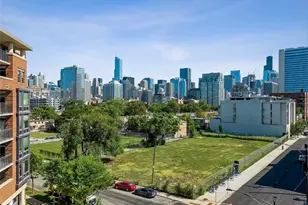 1008 N Larrabee St, Chicago, IL 60610 - Photo 14