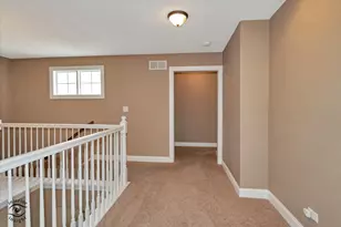 8638 Saddlebred Ct, Frankfort, IL 60423 - Photo 16