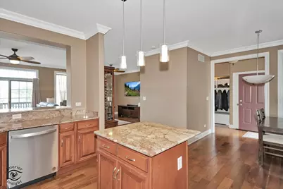 8638 Saddlebred Court, Frankfort, IL 60423 - Photo 10