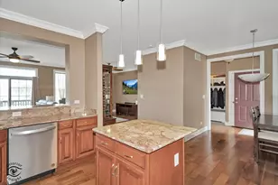 8638 Saddlebred Ct, Frankfort, IL 60423 - Photo 10