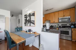 70 W Burton Pl, Chicago, IL 60610 - Photo 8