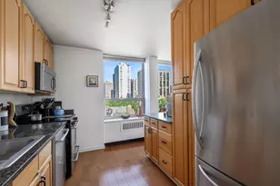 70 W Burton Pl, Chicago, IL 60610 - Photo 10