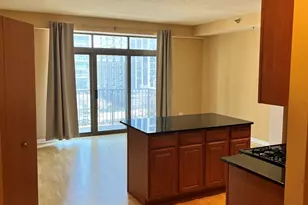 1250 S Indiana Ave, Chicago, IL 60605 - Photo 10