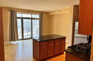 1250 S Indiana Ave, Chicago, IL 60605 - Photo 6