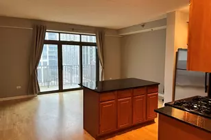 1250 S Indiana Ave, Chicago, IL 60605 - Photo 16