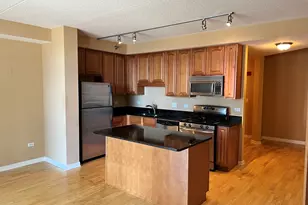 1250 S Indiana Ave, Chicago, IL 60605 - Photo 4