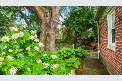 1009 W Green Street, Champaign, IL 61821 - Photo 54