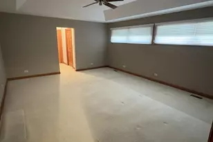 9937 W Kuse Rd, Frankfort, IL 60423 - Photo 16