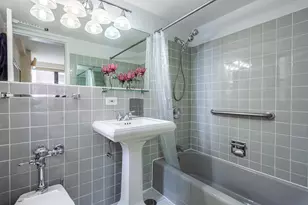 850 N Dewitt Pl, Chicago, IL 60611 - Photo 20