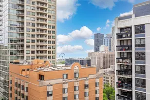 850 N Dewitt Pl, Chicago, IL 60611 - Photo 22
