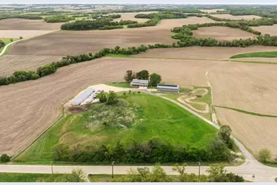 8294 Leaf River Road, Leaf River, IL 61047 - Photo 2