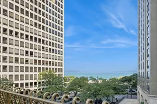 79 E Cedar St, Chicago, IL 60611 - Photo 28