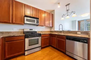 1600 S Prairie Ave, Chicago, IL 60616 - Photo 12