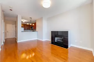 1600 S Prairie Ave, Chicago, IL 60616 - Photo 8