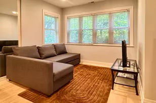 821 S Bell Ave, Chicago, IL 60612 - Photo 2