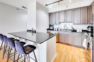 421 W Huron St, Chicago, IL 60654 - Photo 8