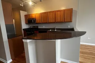 2001 S Calumet Ave, Chicago, IL 60616 - Photo 16
