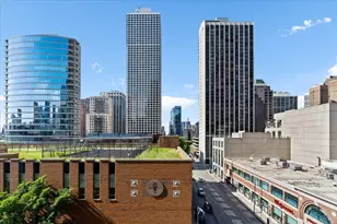 9 W Walton St, Chicago, IL 60610 - Photo 38