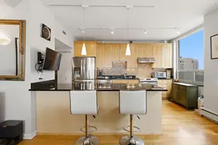 1000 N Lake Shore Plaza, Chicago, IL 60611 - Photo 8