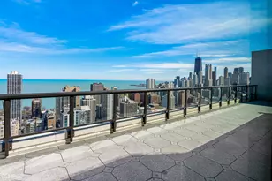 1560 N Sandburg Terrace, Chicago, IL 60610 - Photo 22
