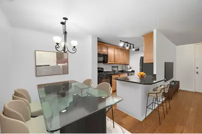 1339 N Dearborn Street #7D, Chicago, IL 60610 - Photo 4