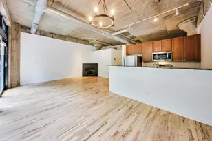 1070 W 15th St, Chicago, IL 60608 - Photo 10