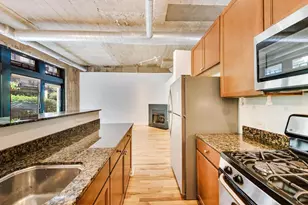 1070 W 15th St, Chicago, IL 60608 - Photo 14