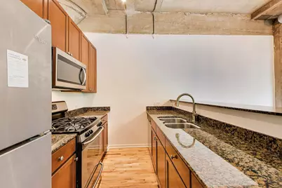 1070 W 15th Street #113, Chicago, IL 60608 - Photo 10