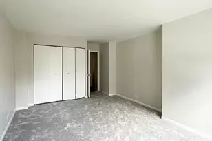 222 E Pearson St, Chicago, IL 60611 - Photo 10