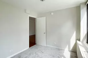 222 E Pearson St, Chicago, IL 60611 - Photo 8