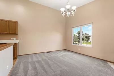 19911 S Edinburgh Lane, Frankfort, IL 60423 - Photo 10