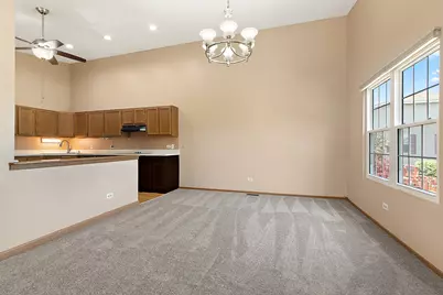 19911 S Edinburgh Lane, Frankfort, IL 60423 - Photo 8