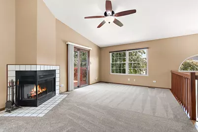 19911 S Edinburgh Lane, Frankfort, IL 60423 - Photo 4