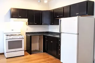 703 W Cornelia Ave, Chicago, IL 60657 - Photo 4