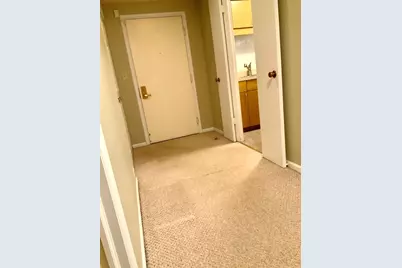 1103 N Mill Street #109, Naperville, IL 60563 - Photo 8
