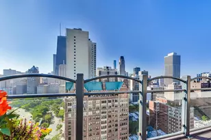 1150 N Lake Shore Dr, Chicago, IL 60611 - Photo 14
