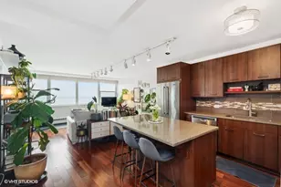 1150 N Lake Shore Dr, Chicago, IL 60611 - Photo 2