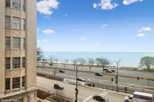 1150 N Lake Shore Dr, Chicago, IL 60611 - Photo 8