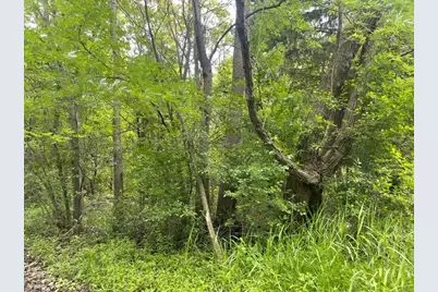 Lot 0 Pine Street S, McHenry, IL 60051 - Photo 6