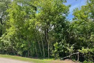 Lot 0 Pine Street S, McHenry, IL 60051 - Photo 1
