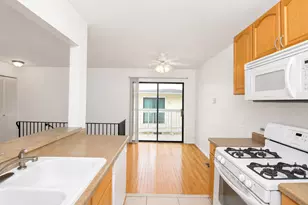 707 Sunfish Point, Schaumburg, IL 60194 - Photo 12